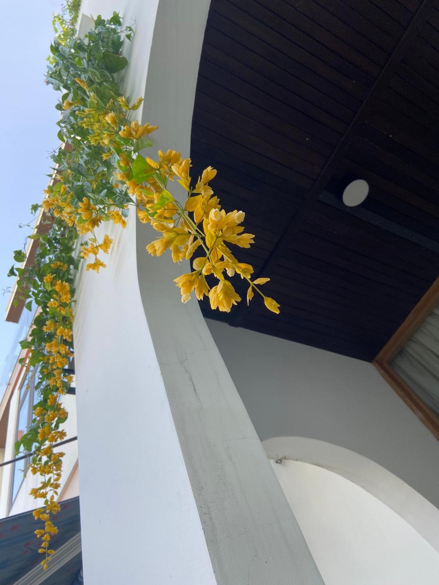 Tiny Cozy House Appartement Da Nang Buitenkant foto