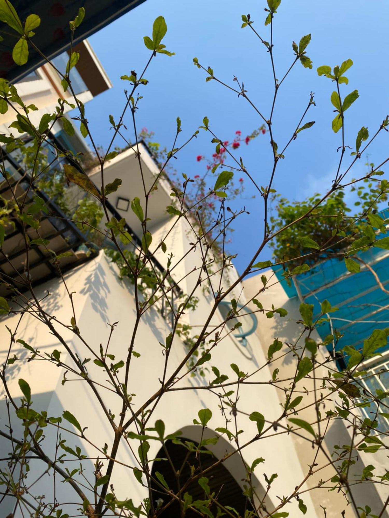 Tiny Cozy House Appartement Da Nang Buitenkant foto